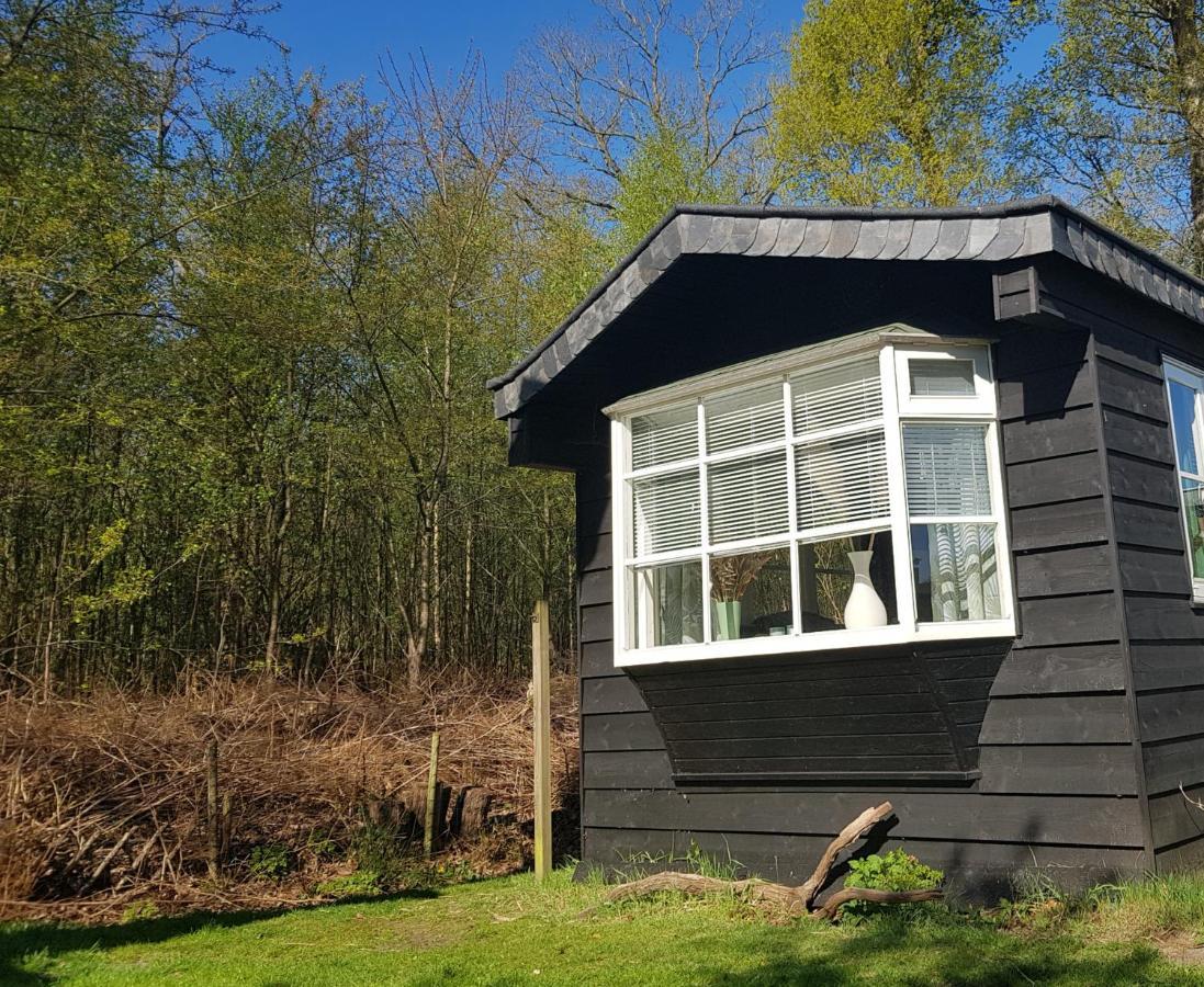 Chalet 2 Pers Met Hottub - Aan De Bosrand - Ijsselmeer - Gaasterland - Bos Rijs エクステリア 写真